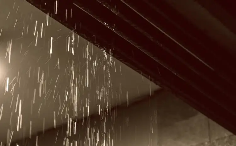  急な雨漏り！プロの職人が伝授する家の応急処置と、失敗しない雨漏り修理業者の選び方
