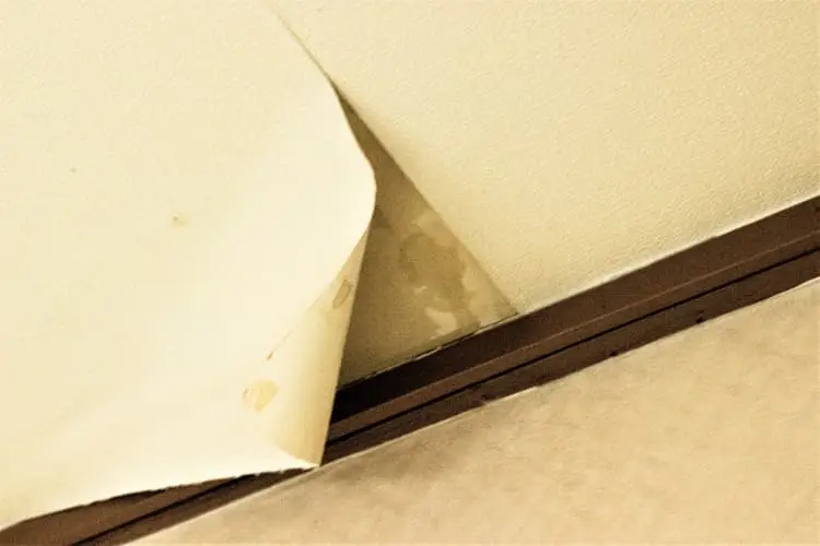 雨漏り工事は業者選びが命！発生しやすいトラブルや雨漏り業者の選び方、修理費用をご紹介｜雨漏り工事｜屋根工事｜外壁工事｜防水工事｜CHIKAZAWA｜所沢市、狭山市、川越市、東村山市の地域密着型施工会社｜外壁工事、屋根工事、塗装工事、雨樋工事、内装工事を中心とした施工が得意な職人集団です！所沢市、狭山市、川越市、東村山市のお客様とお客様の住まいについて一緒に考えるアットホームな施工会社です。